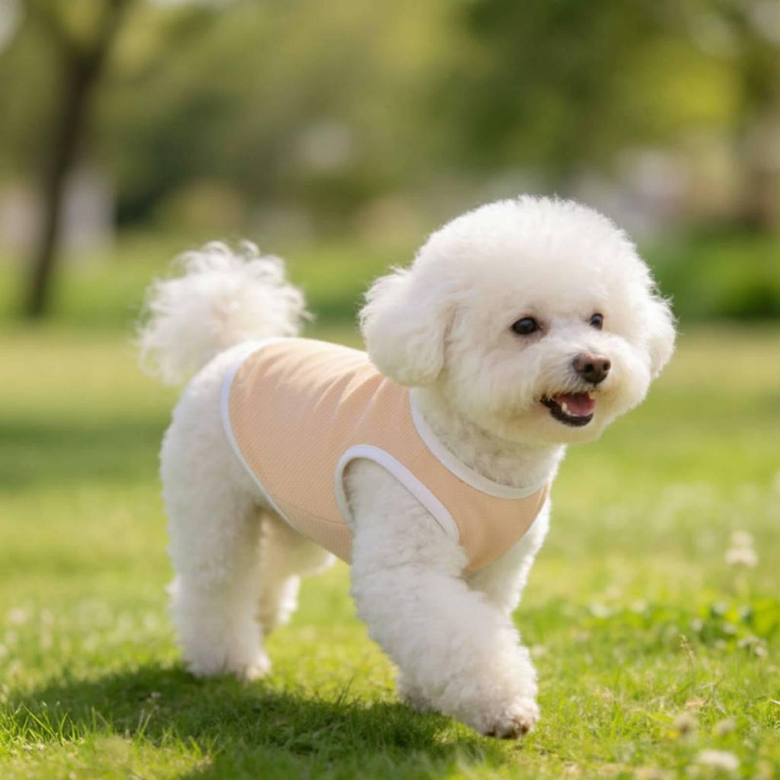 Chaleco de malla para perros,  - Outdoor Adventure Boys reseña y precio